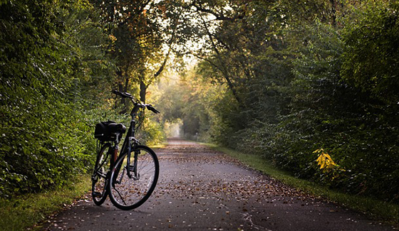 your-image-description